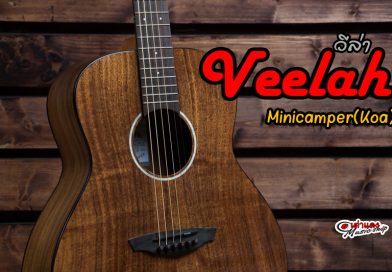 รีวิว กีต้าร์โปร่ง Veelah Minicamper Koa | เต่าแดง