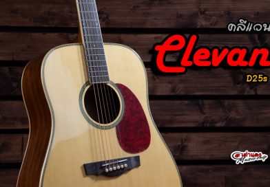 รีวิว กีต้าร์โปร่ง Clevan D25S  | เต่าแดง