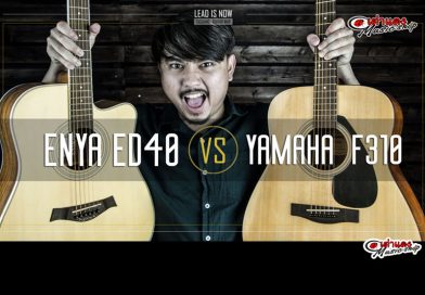 เปรียบเทียบ กีต้าร์โปร่ง Enya ED40 กับ Yamaha F310 (Lead is now : EP1) | เต่าแดง (Taodang) เปรียบเทียบ กีต้าร์โปร่ง Enya ED40 กับ Yamaha F310 (Lead is now : EP1) | เต่าแดง (Taodang)