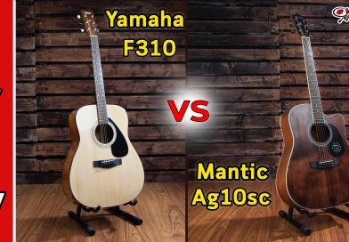 Yamaha F310 VS Mantic AG10sc