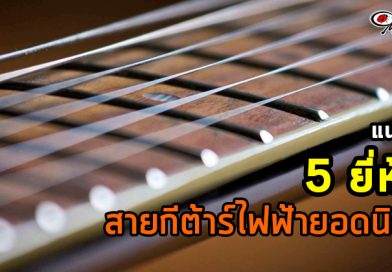 แนะนำ 5 ยี่ห้อสายกีต้าร์ไฟฟ้ายอดนิยม แนะนำ 5 ยี่ห้อสายกีต้าร์ไฟฟ้ายอดนิยม