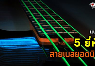 แนะนำ 5 ยี่ห้อสายเบสยอดนิยม