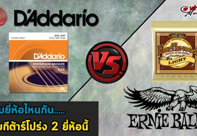 สายกีต้าร์โปร่ง D'addario VS สายกีต้าร์โปร่ง Ernie Ball สายกีต้าร์โปร่ง D'addario VS สายกีต้าร์โปร่ง Ernie Ball