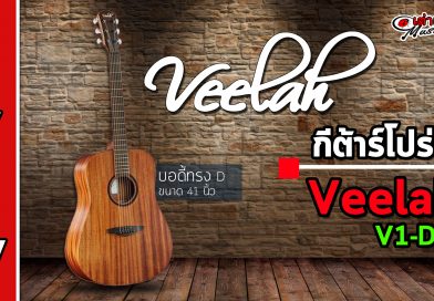 รีวิว กีต้าร์โปร่ง Veelah รุ่น V-1DM
