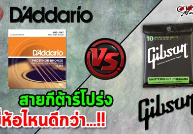 สายกีต้าร์โปร่ง Gibson VS สายกีต้าร์โปร่ง D'addario สายกีต้าร์โปร่ง Gibson VS สายกีต้าร์โปร่ง D'addario